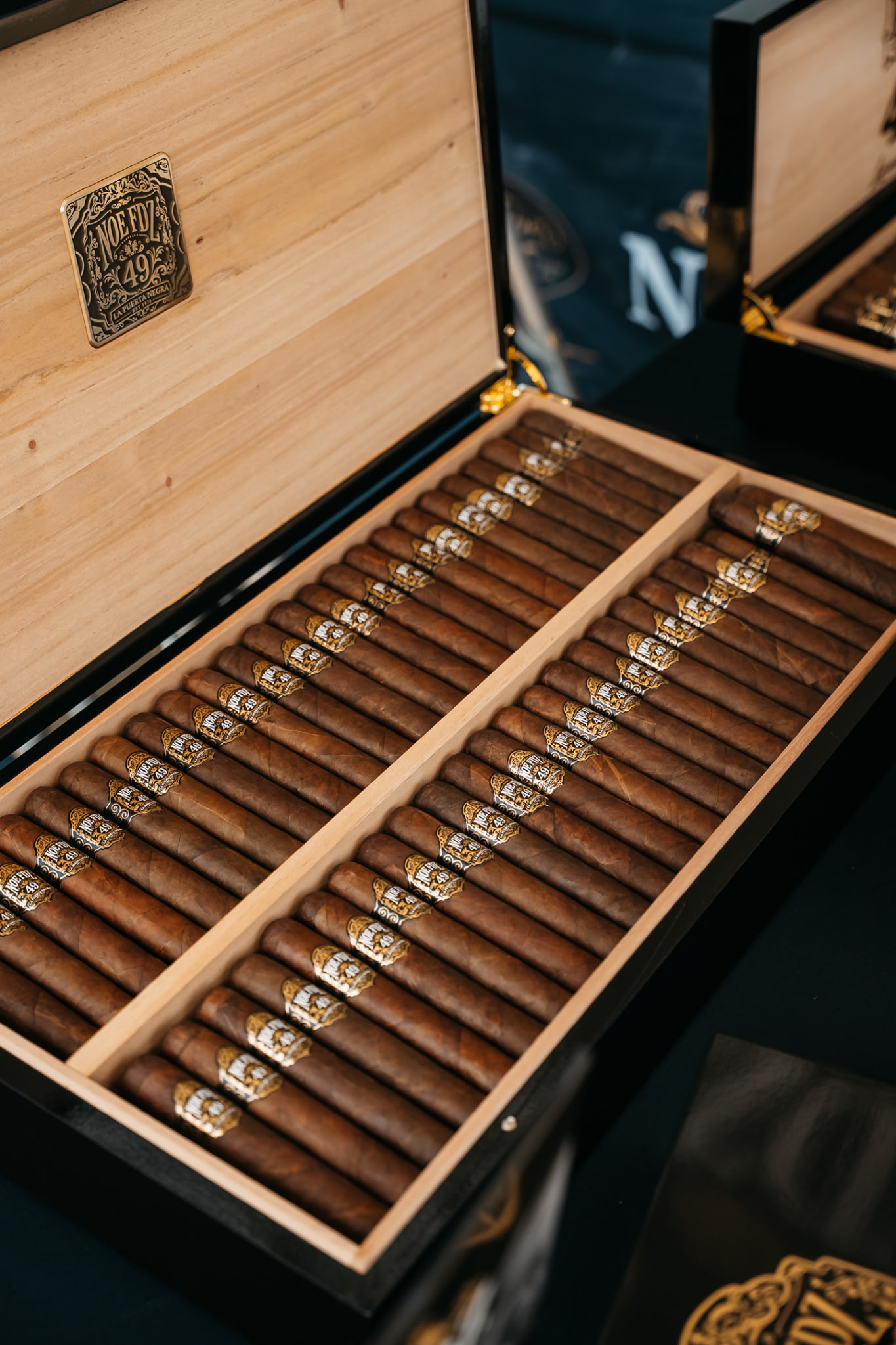 Noe FDZ Cigars presented in a branded humidor